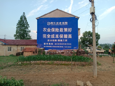 普安墙体广告为何受追捧？